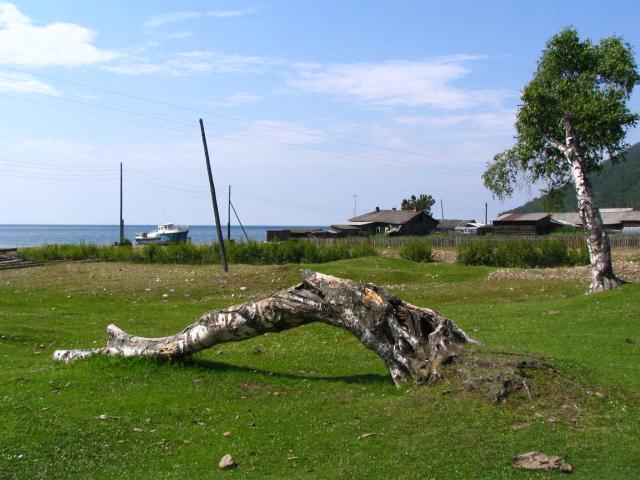 IMG_2558.jpg.jpg
