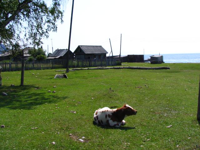 IMG_2578.jpg.jpg