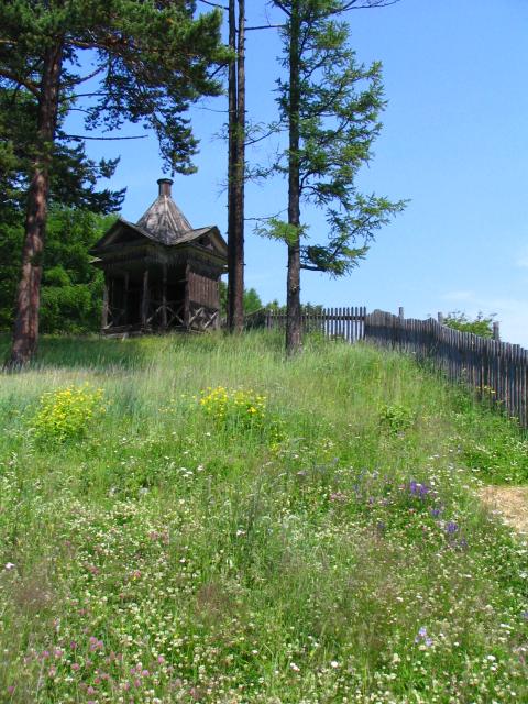 IMG_2586.jpg.jpg