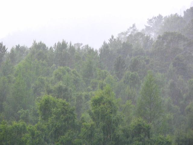 IMG_2613.jpg.jpg