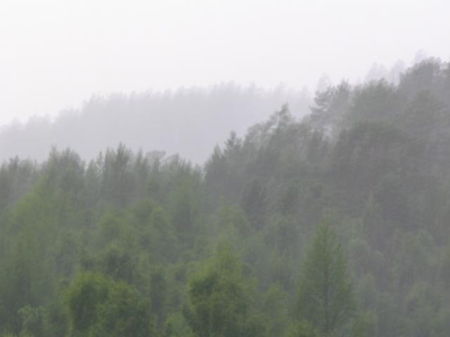 IMG_2614.jpg.jpg
