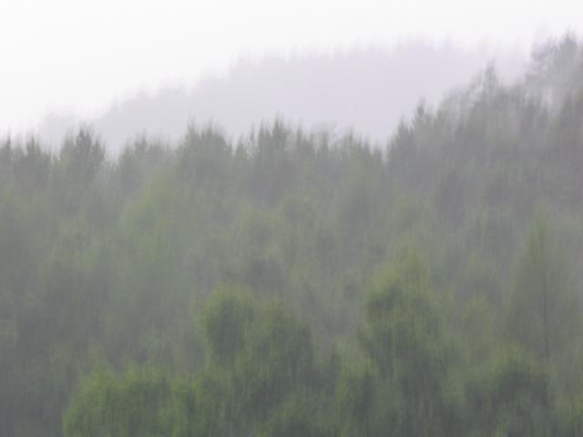 IMG_2615.jpg.jpg