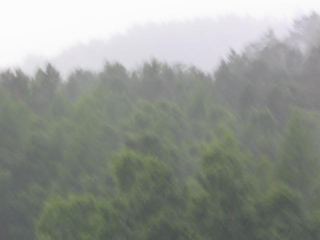 IMG_2616.jpg.jpg