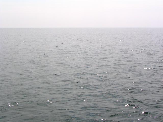 IMG_2649.jpg.jpg
