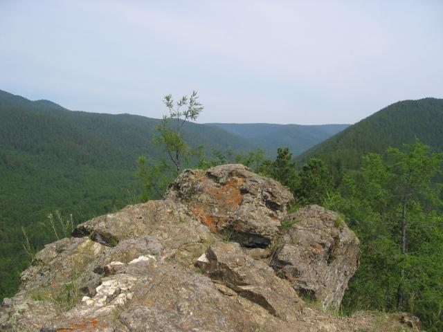 IMG_1626.jpg.jpg