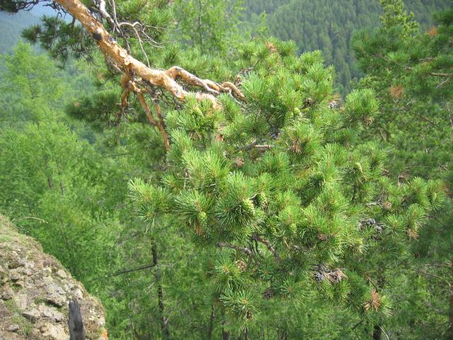 IMG_1630.jpg.jpg