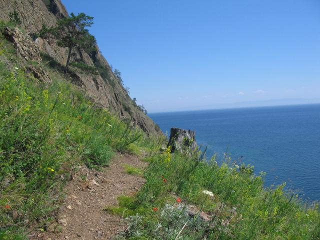 IMG_1513.jpg.jpg