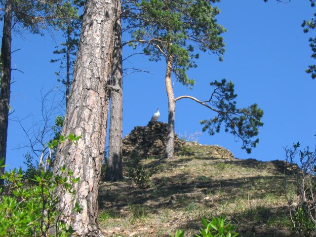 IMG_1521.jpg.jpg