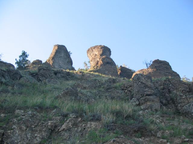 IMG_1529.jpg.jpg