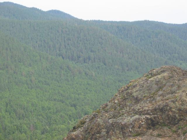 IMG_1536.jpg.jpg
